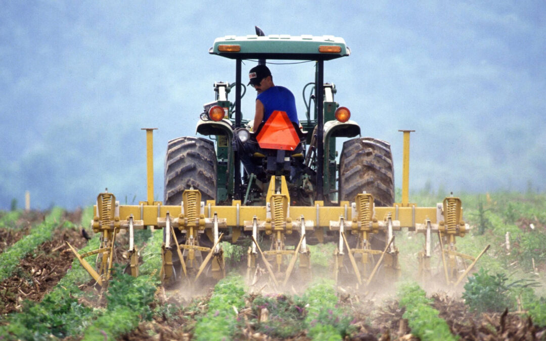 Honoring the Backbone of America Through the Heavy Equipment Industry